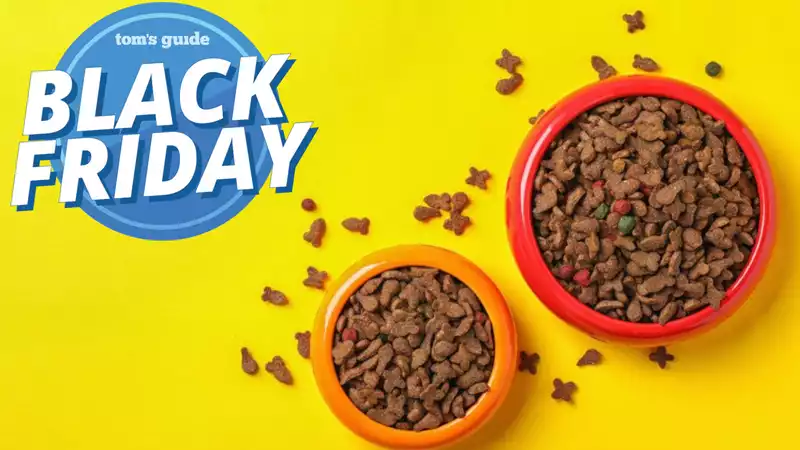 Best Black Friday Pet Deals 2020