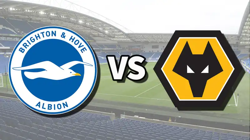 Brighton vs Wolves live stream: how to watch the Premier League match online from anywhere today, team news