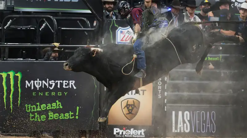 How to Watch Professional Bull Riders World Final 2024: Live stream pbr events online from anywhere